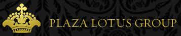 Санкт-Петербург рассматривает варианты предоставления инвестору ООО Плаза Лотос Груп участков под строительство ледового дворца и гостиницы.