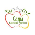 Карачаево-Черкесия может стать крупнейшим производителем груши в России.