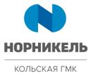 Гендиректор КГМК: модернизация — это новые перспективы и для компании, и для наших городов. ТАСС. 1 ноября 2017