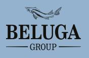 Beluga Group     I   3,8%.