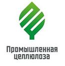 Проект строительства завода целлюлозы в Чусовом Пермского края получил статус приоритетного.