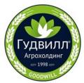 Производство фитнес-продуктов развивают алтайские предприятия.