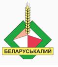Уведомление об общественных обсуждениях планируемой деятельности по строительству объекта Меры охраны подрабатываемых земель, прилегающих к Осовецкому каналу, от влияния горных выработок 3-го калийного горизонта рудника 4 РУ ОАО Беларуськалий (223710, Минская область, г.