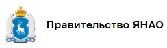 В Новом Уренгое начали строить арену для мини-футбола (Ямало-Ненецкий АО).