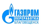 Запуск факельного ствола прошел на Амурском газоперерабатывающем заводе.