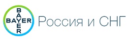        .  RCC.ru. 31  2020