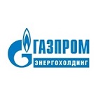 Газпром энергохолдинг не рассматривает вопрос покупки акций ТГК-1 у Fortum.